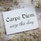 Leisure Arts® Vinyl Carpe Diem Seize The Day Black Wall Decal